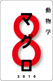 カードナンバー０７４「マグロ」の表